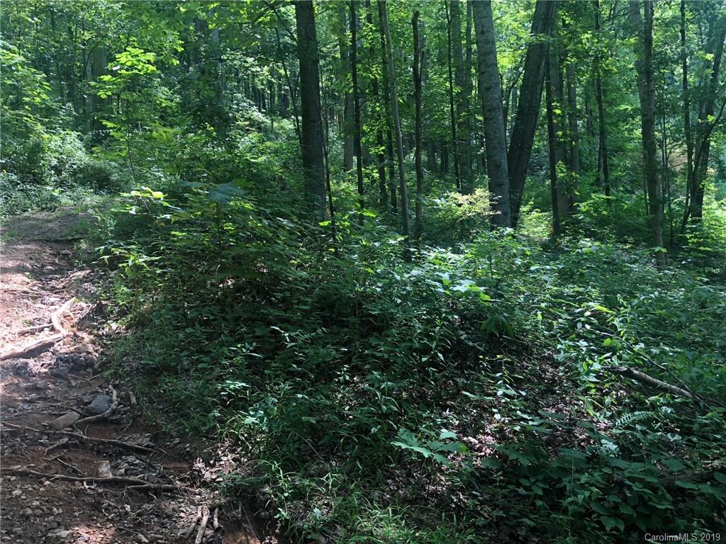 9999 Wilson Cove Road, Unit PT 4 Swannanoa, NC 28778 - Photo 6 of 6 Gallery Image 6