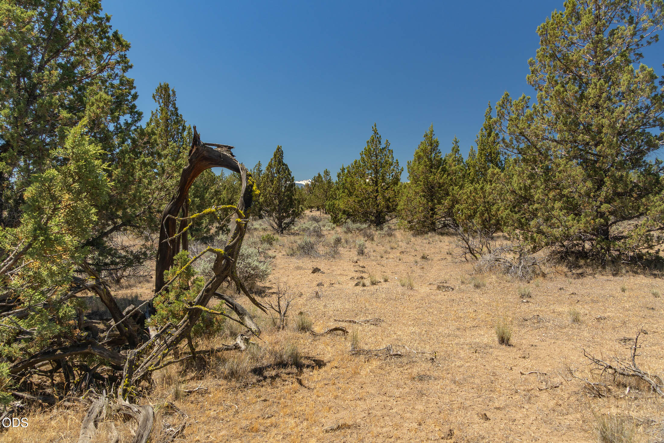 0 Southwest Blue Jay Road Terrebonne, OR 97760 - Photo 6 of 14