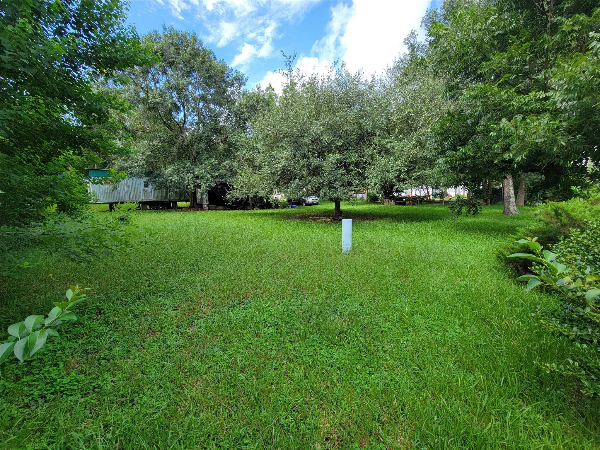 17590 Deer Run Road Conroe, TX 77306 - Photo 6 of 10 a view of a green yard