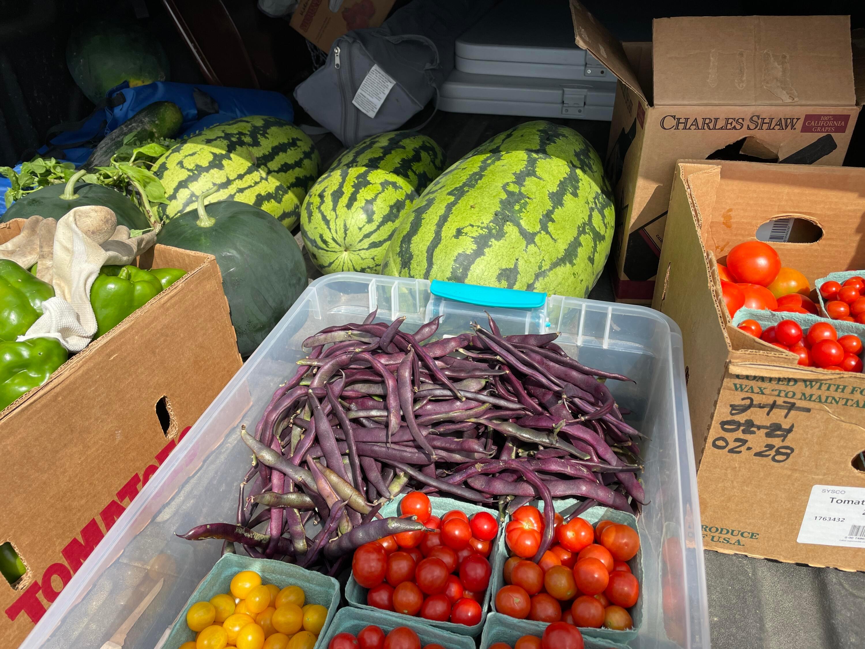 4167 North Section Line Road Radnor, OH 43066 - Photo 72 of 81 Vegetables Grown on Land
