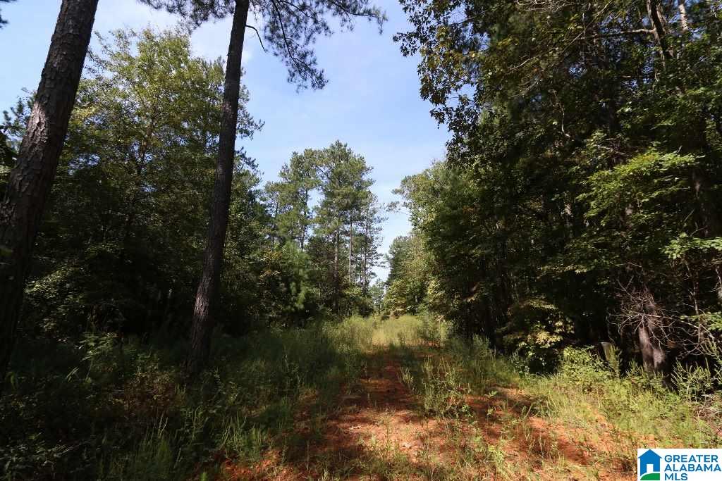 Sprayberry Road, Unit 103 Cropwell, AL 35054 - Photo 44 of 48