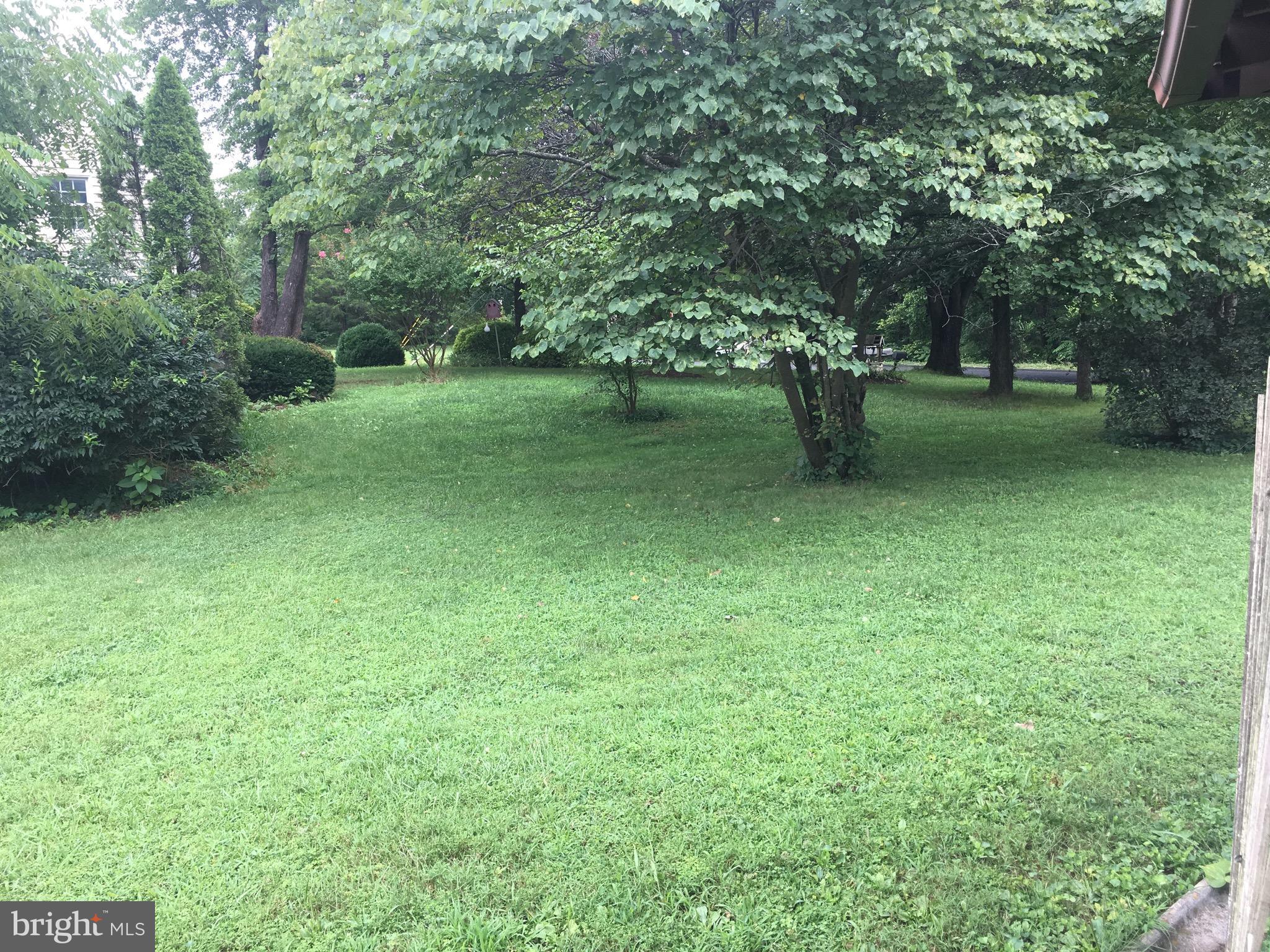 3609 Howellsville Road Front Royal, VA 22630 - Photo 10 of 18 a view of a green field with trees