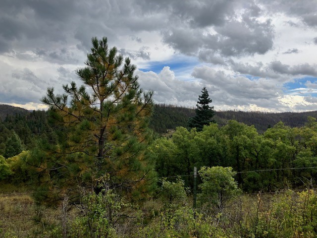 1 La Sierra Road Holman, NM 87723 - Photo 2 of 18