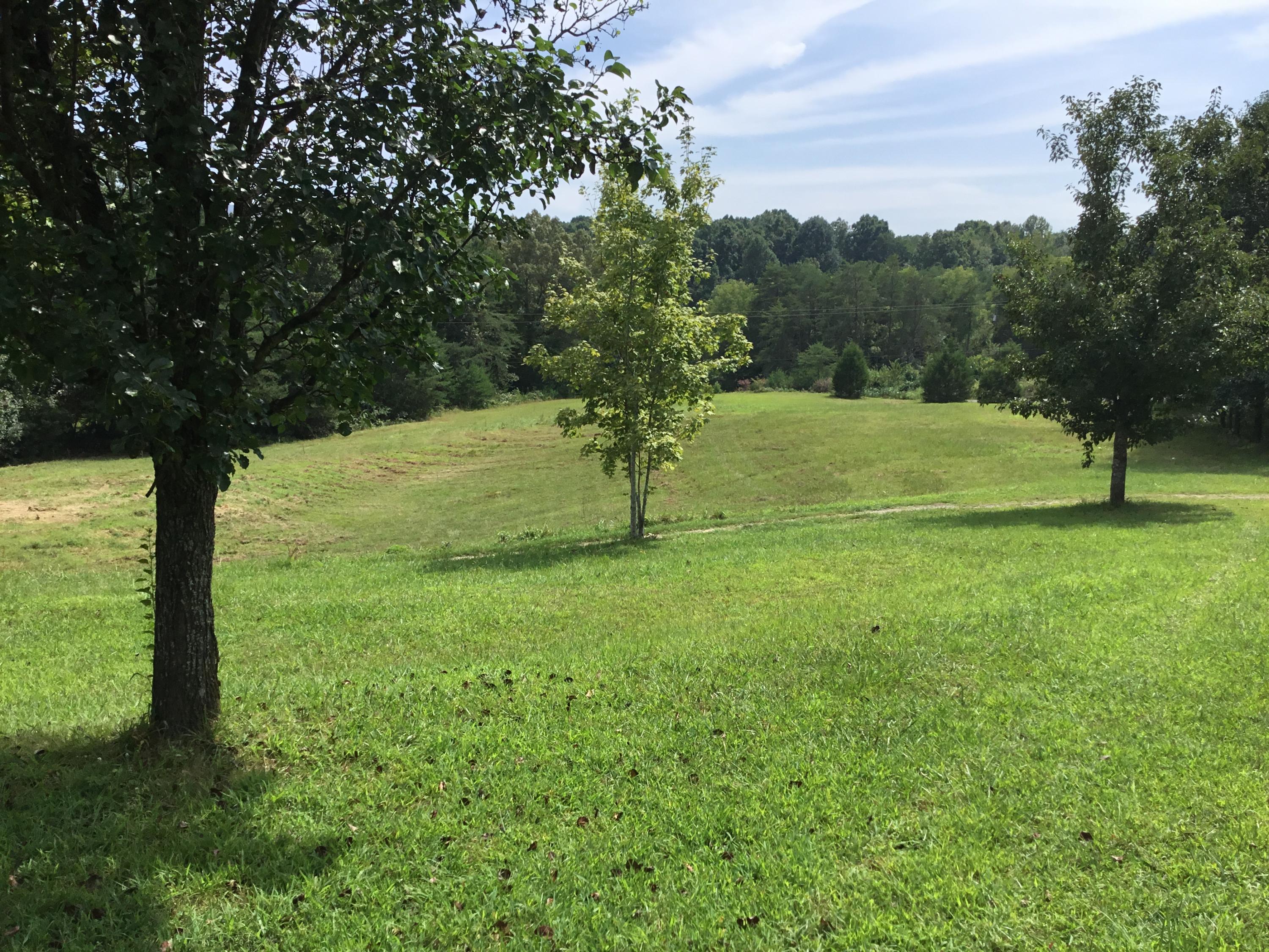 136 Herman Smith Road Pikeville, TN 37367 - Photo 21 of 27 Backyard