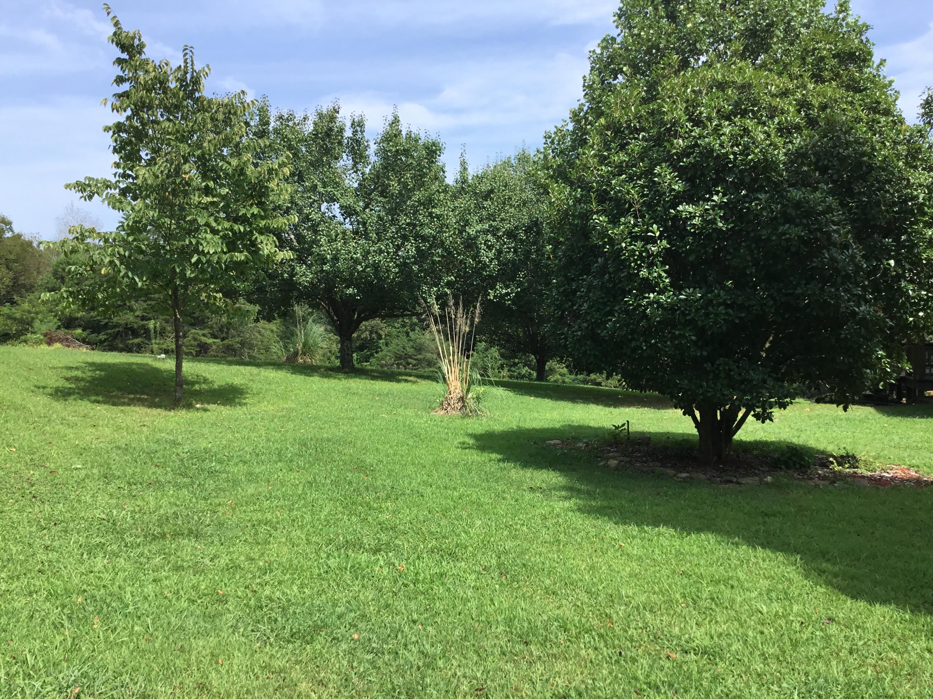 136 Herman Smith Road Pikeville, TN 37367 - Photo 22 of 27 Backyard
