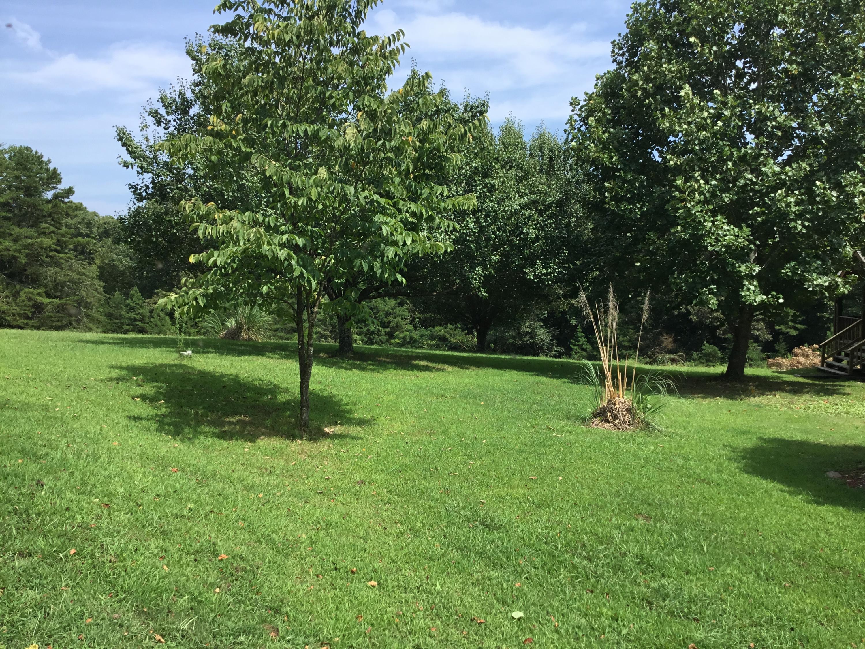 136 Herman Smith Road Pikeville, TN 37367 - Photo 23 of 27 Backyard