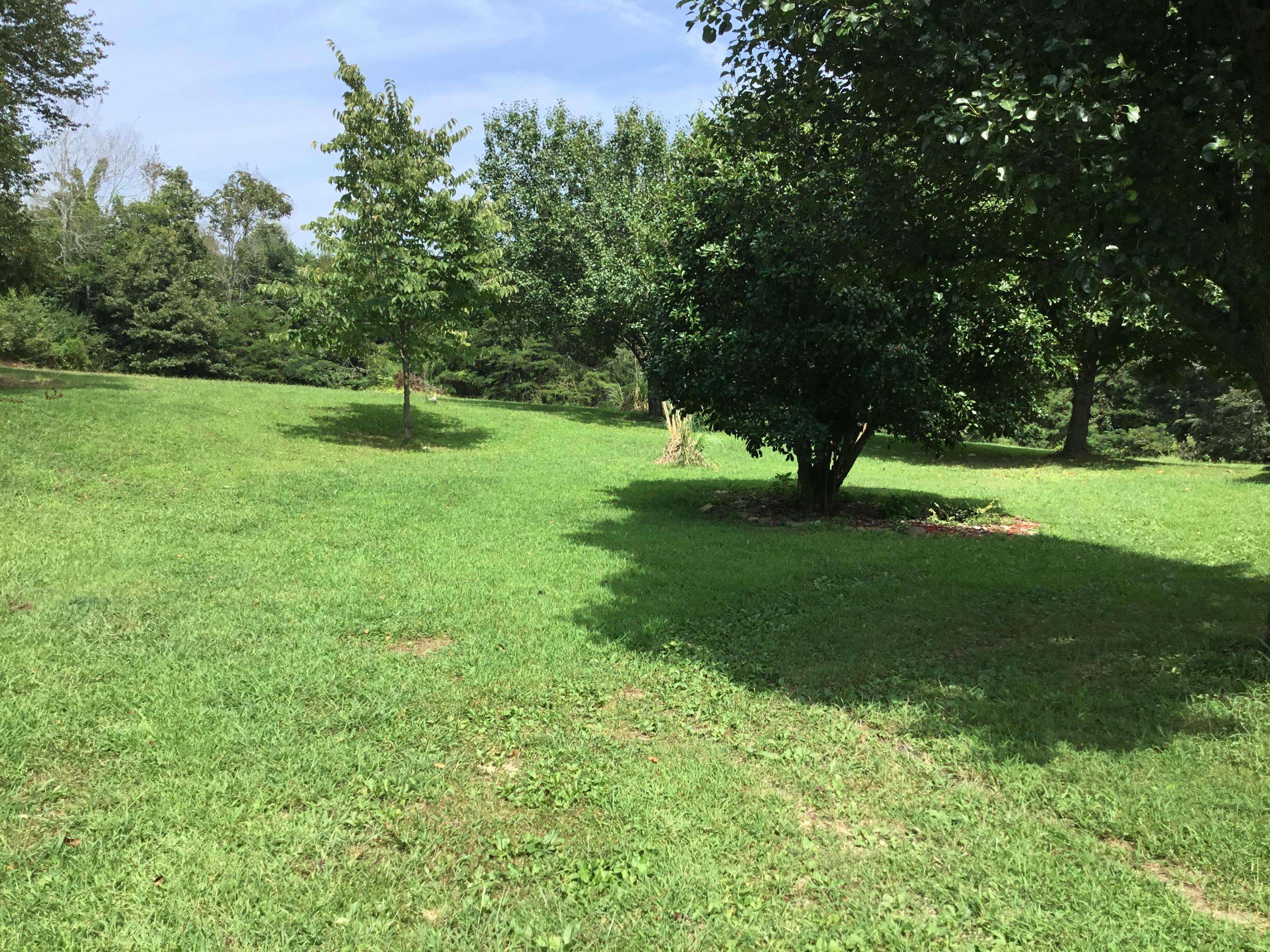 136 Herman Smith Road Pikeville, TN 37367 - Photo 24 of 27 Backyard