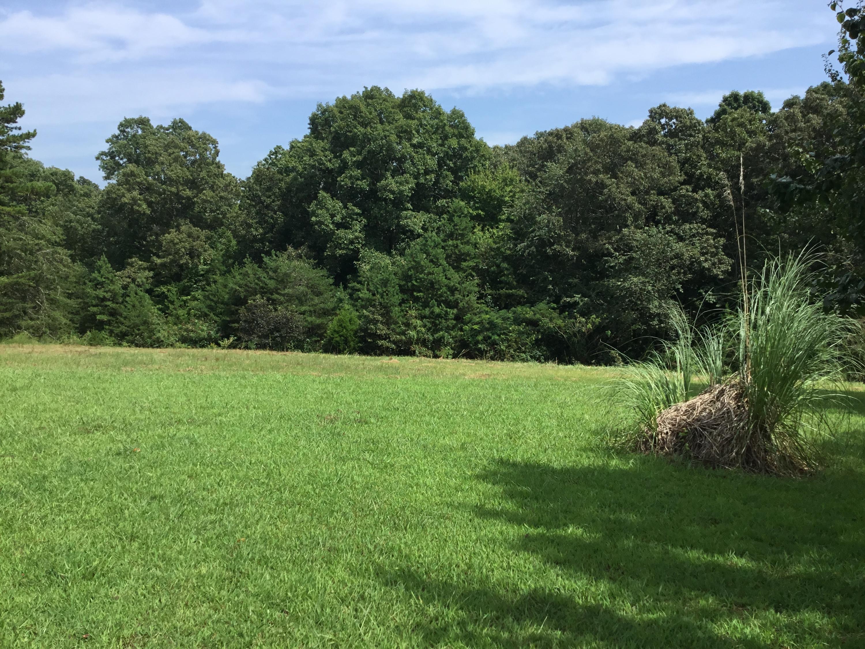 136 Herman Smith Road Pikeville, TN 37367 - Photo 25 of 27 Backyard