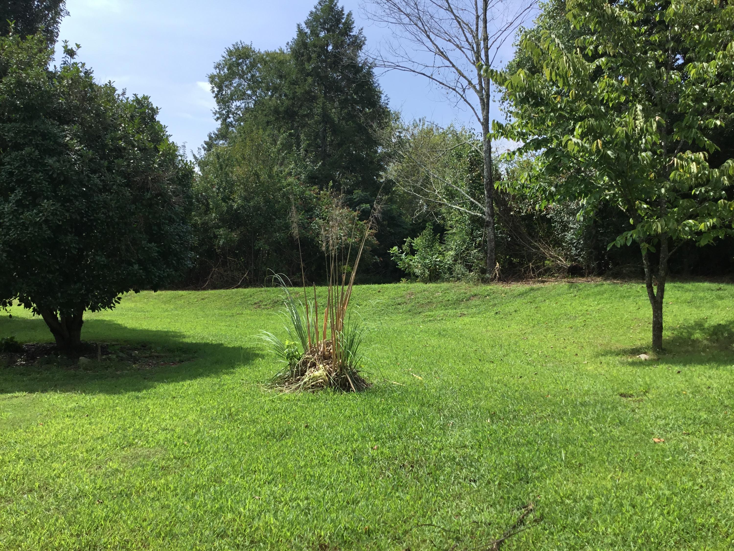 136 Herman Smith Road Pikeville, TN 37367 - Photo 26 of 27 Backyard