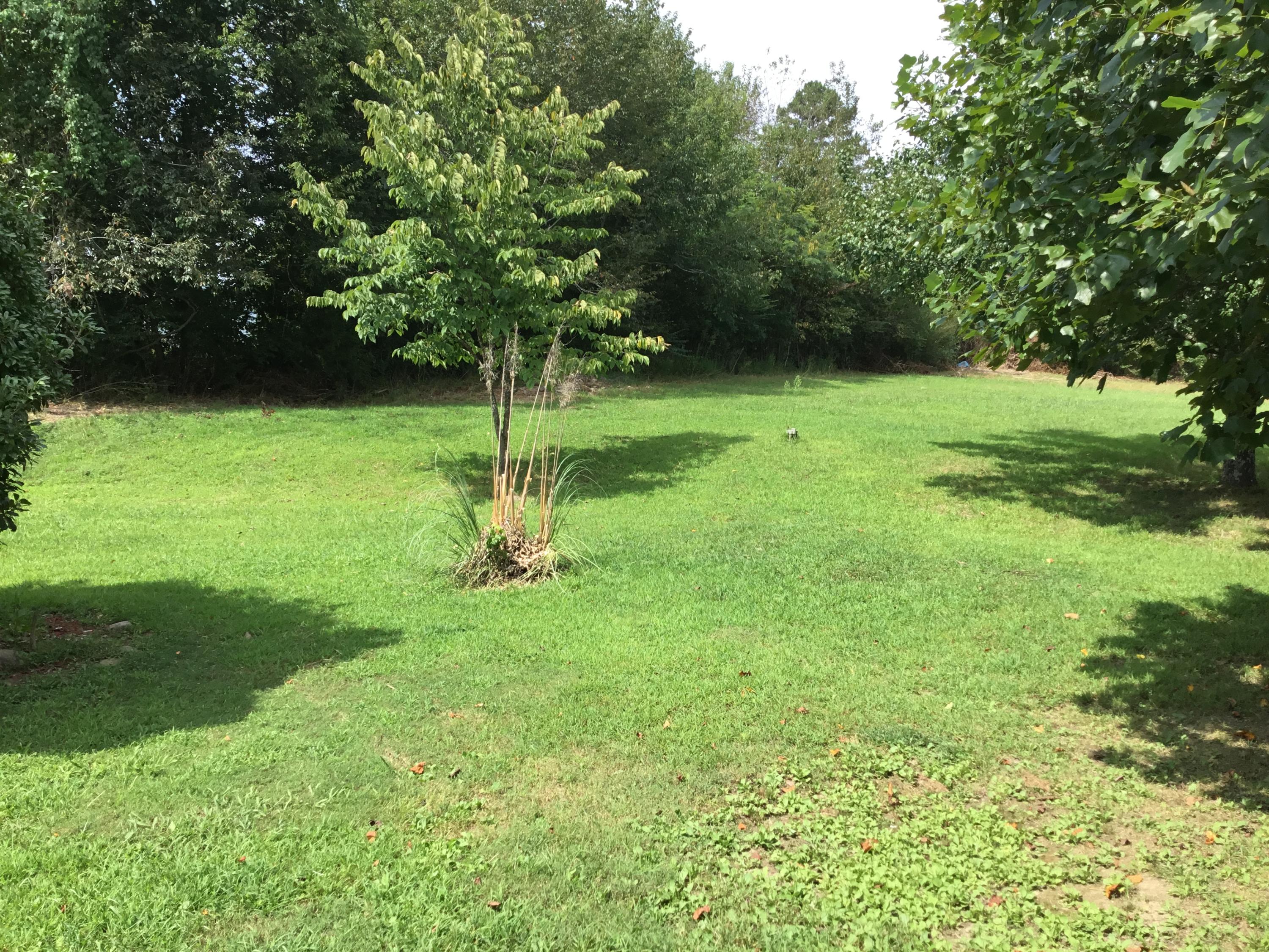 136 Herman Smith Road Pikeville, TN 37367 - Photo 27 of 27 Backyard