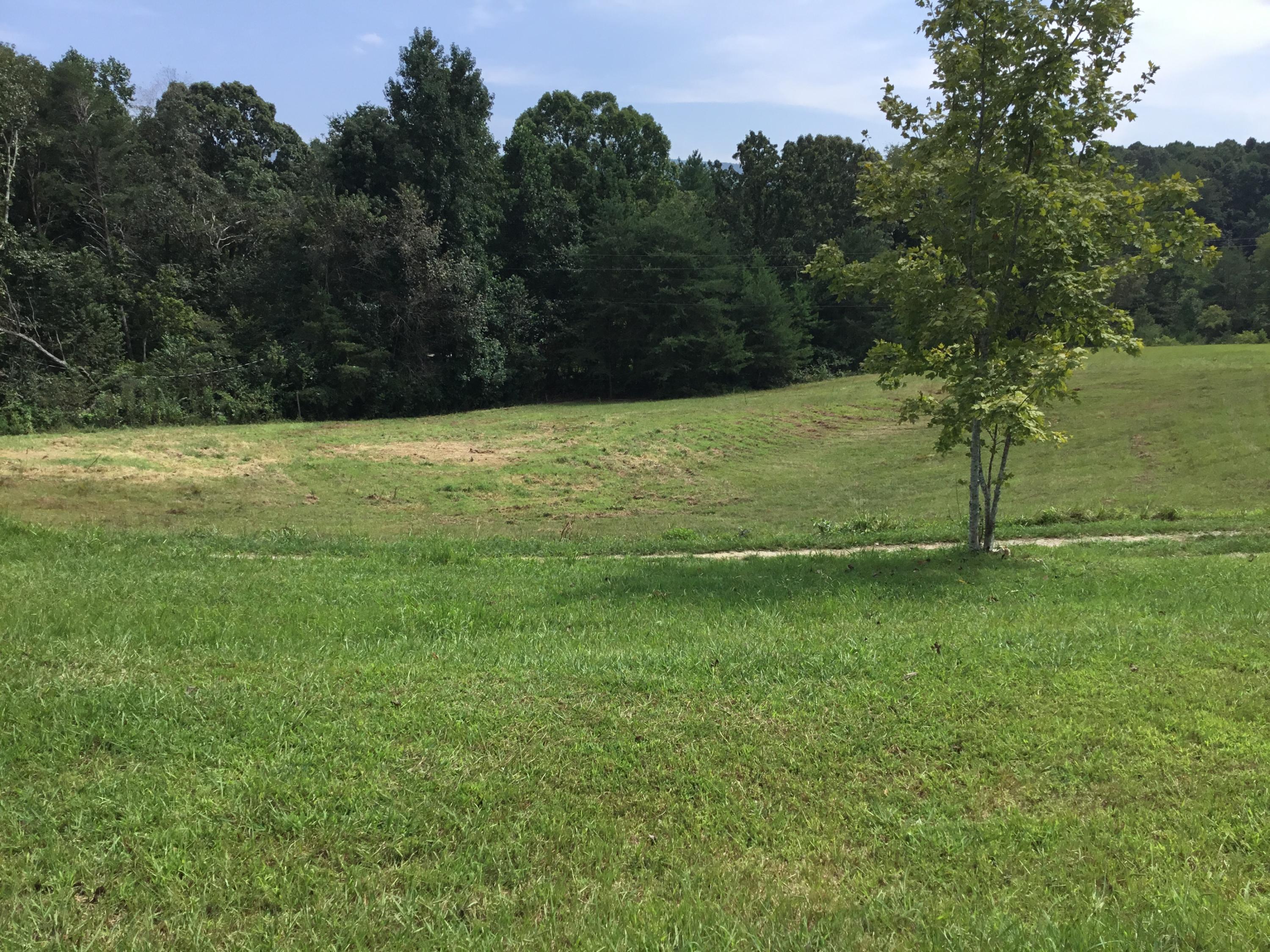 136 Herman Smith Road Pikeville, TN 37367 - Photo 5 of 27 Side Pasture