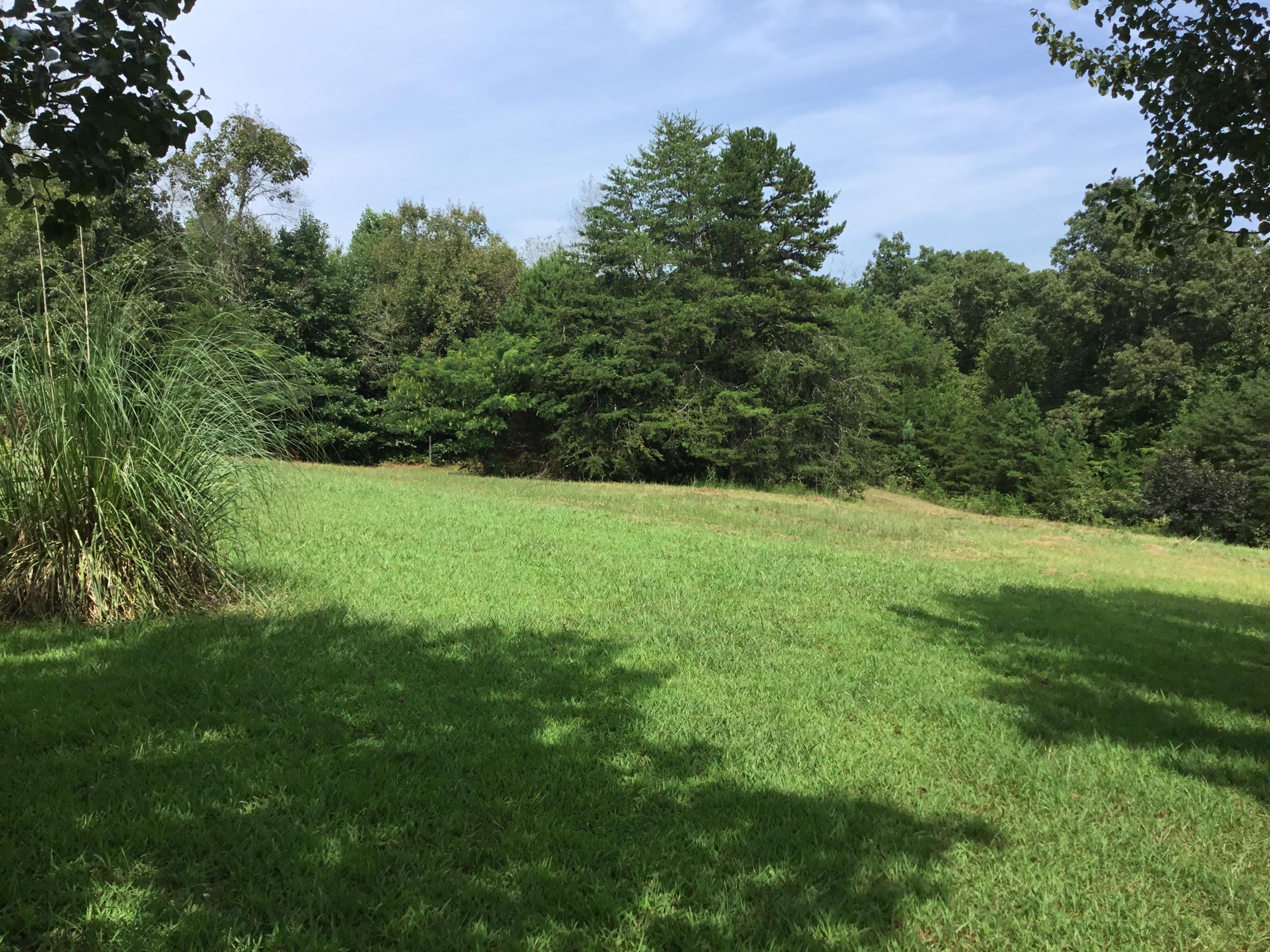 136 Herman Smith Road Pikeville, TN 37367 - Photo 8 of 27 Backyard