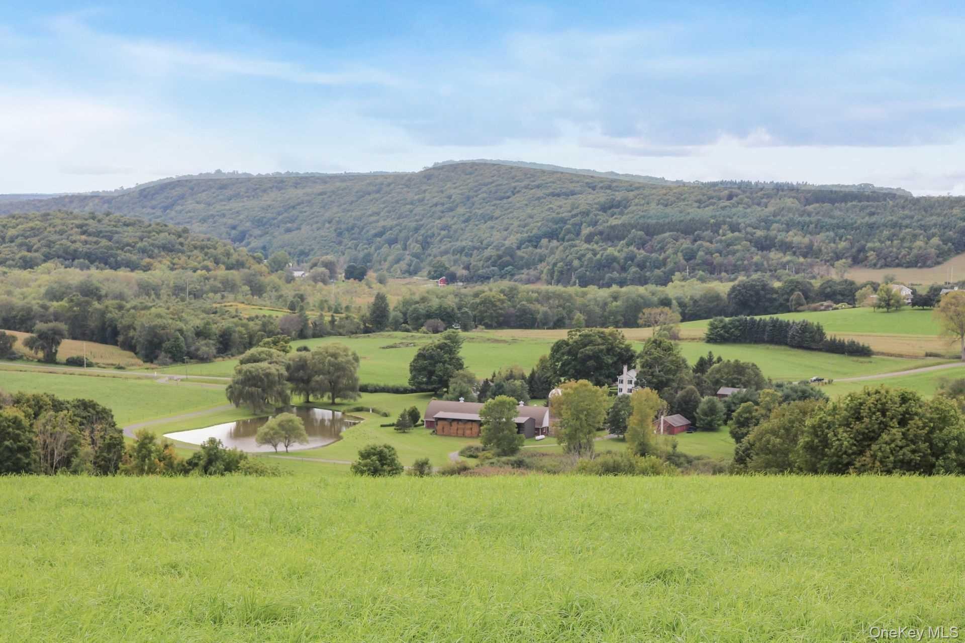 468 Tripp Road Pine Plains, NY 12546 - Photo 22 of 26