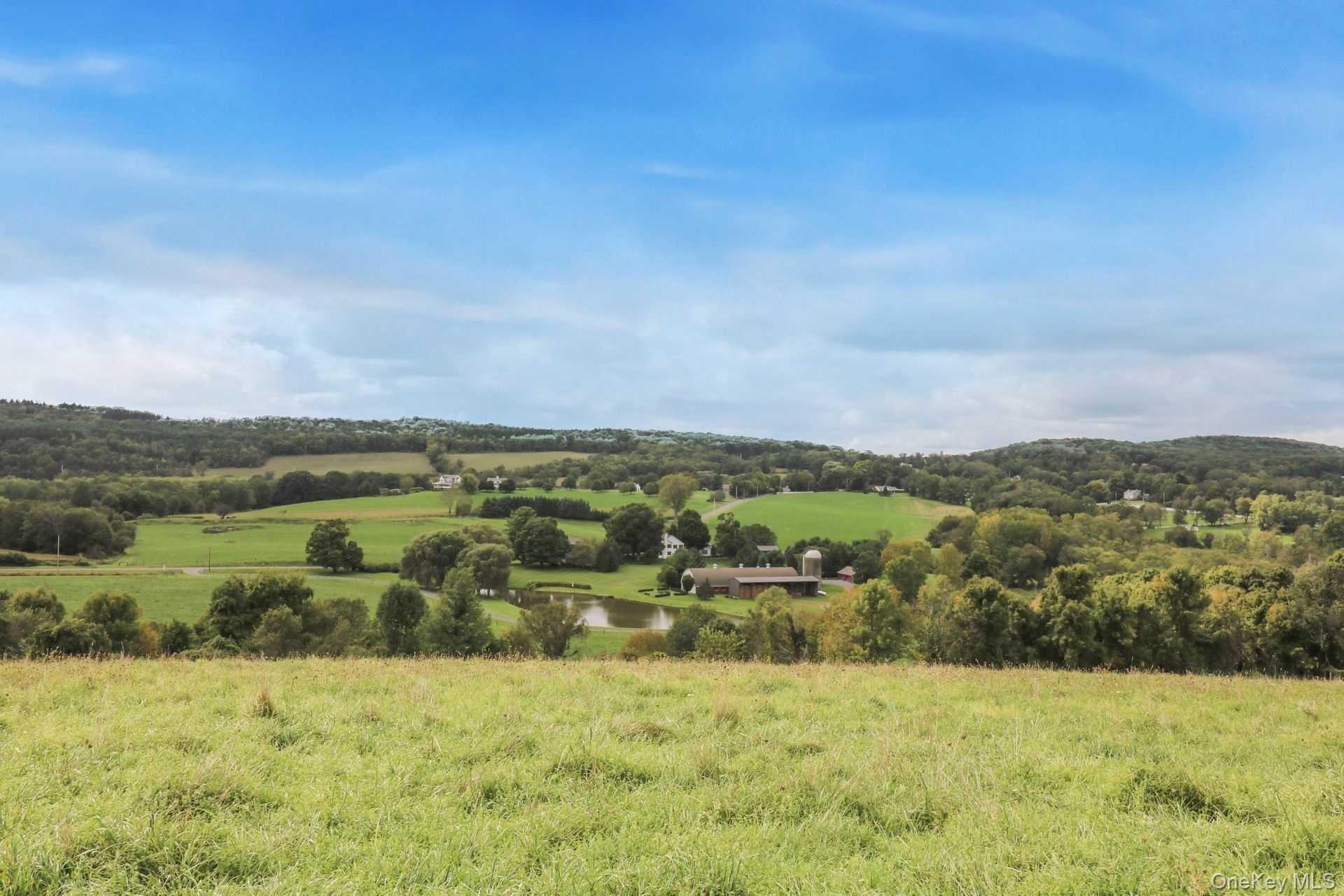 468 Tripp Road Pine Plains, NY 12546 - Photo 9 of 26