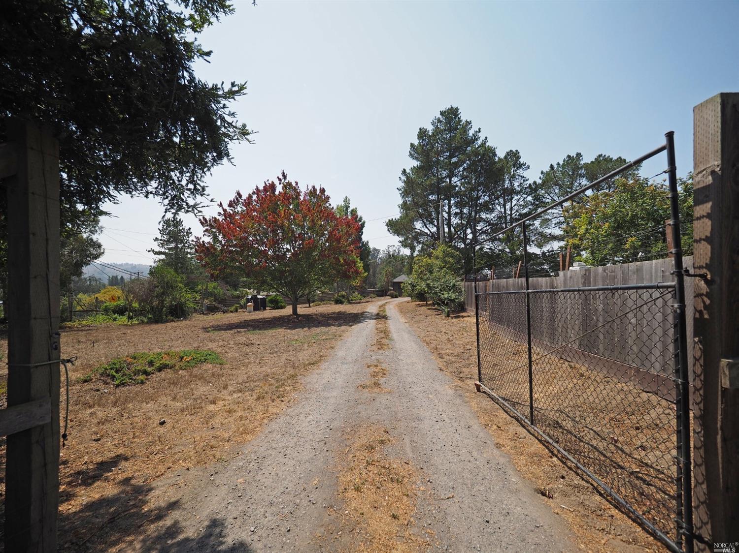 2324 Burnside Road Sebastopol, CA 95472 - Photo 1 of 1 a view of a yard with a tree