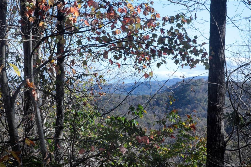 7 Long Rdg Lane, Unit 7 Rosman, NC 28772 - Photo 1 of 23 Gallery Image 1