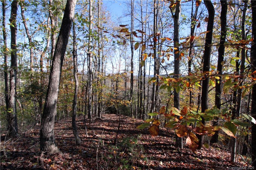 7 Long Rdg Lane, Unit 7 Rosman, NC 28772 - Photo 14 of 23 Gallery Image 14