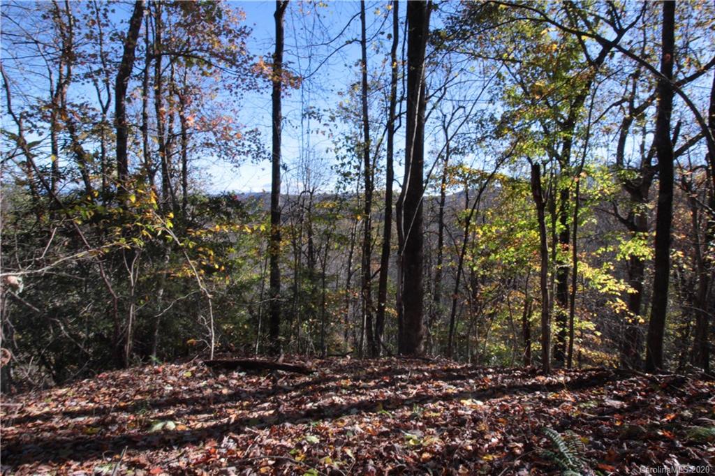 7 Long Rdg Lane, Unit 7 Rosman, NC 28772 - Photo 4 of 23 Gallery Image 4