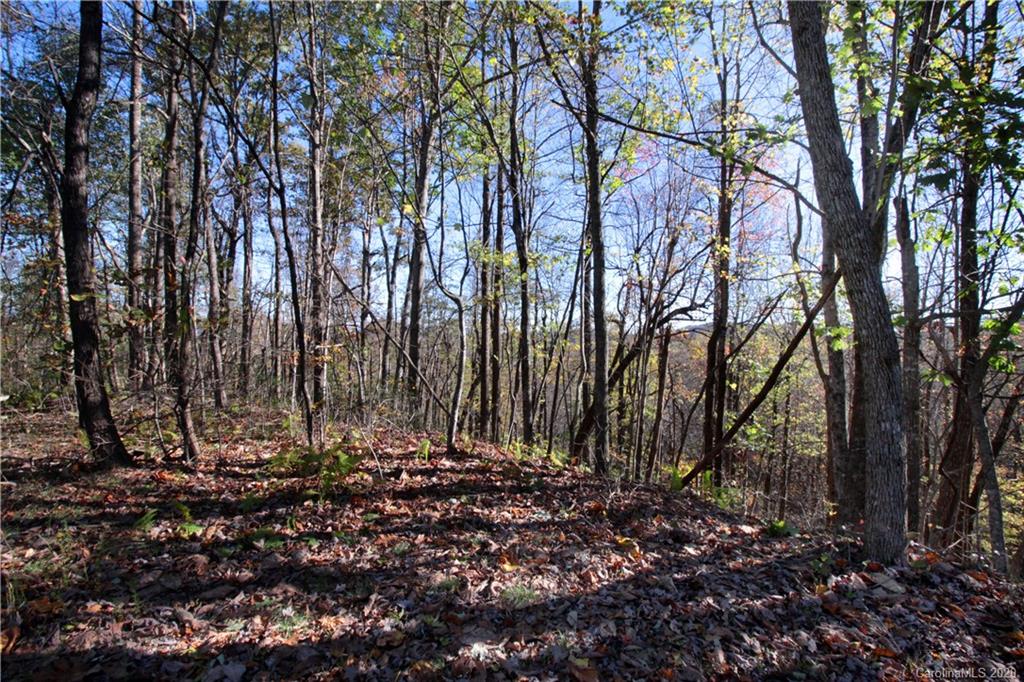 7 Long Rdg Lane, Unit 7 Rosman, NC 28772 - Photo 7 of 23 Gallery Image 7