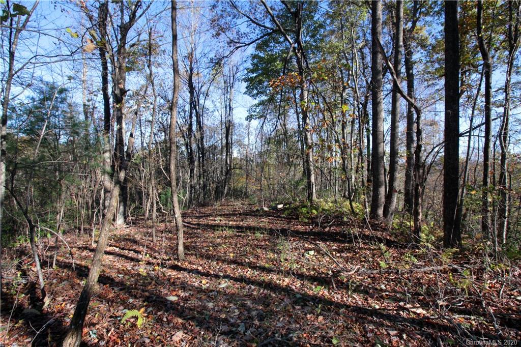 7 Long Rdg Lane, Unit 7 Rosman, NC 28772 - Photo 9 of 23 Gallery Image 9