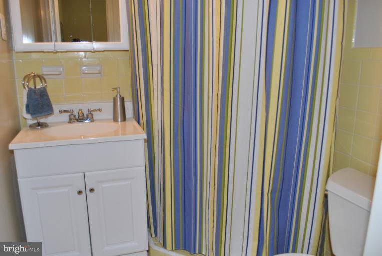 1917 Lyttonsville Road Silver Spring, MD 20910 - Photo 12 of 18 Bath (Master)