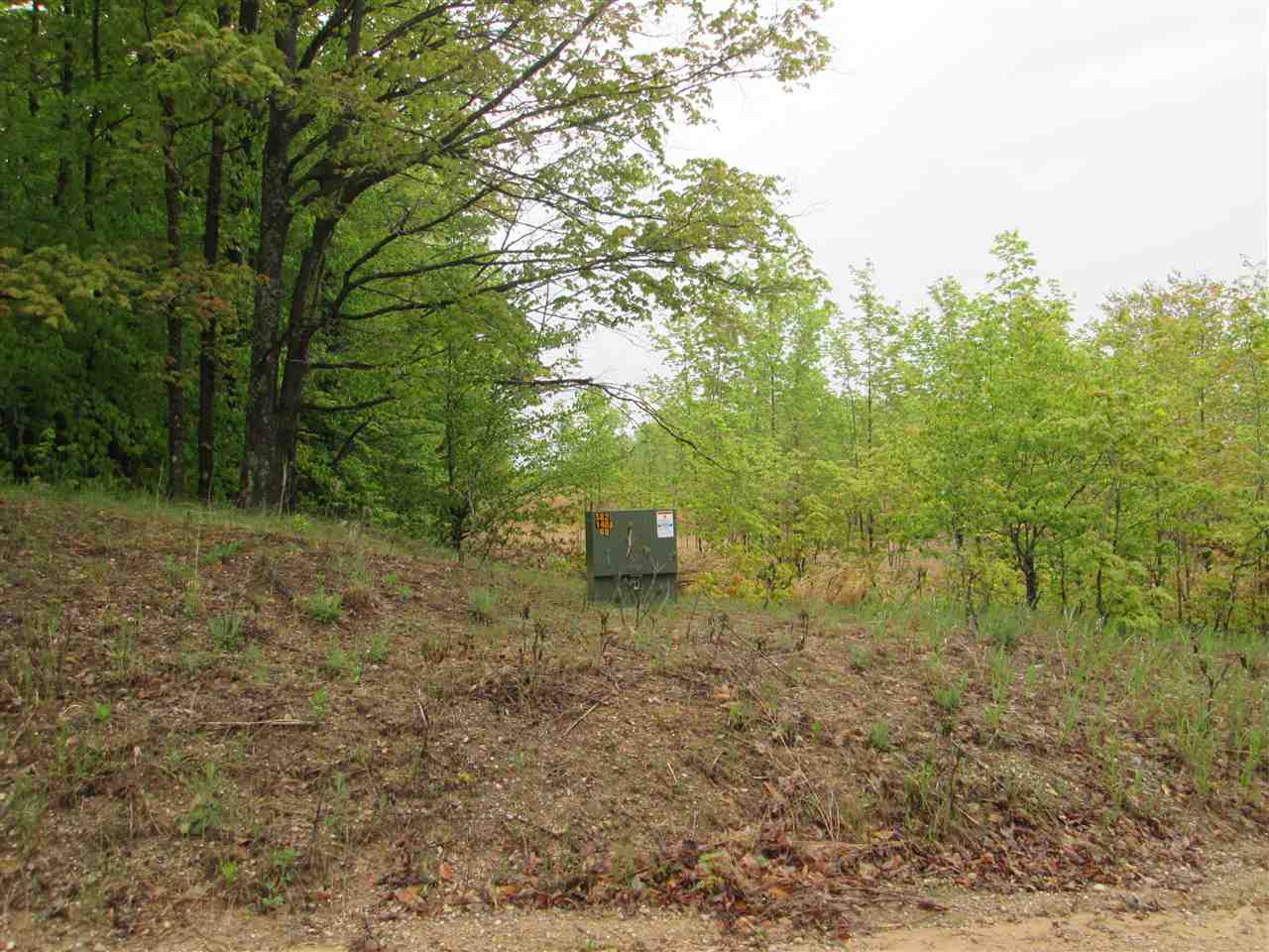 Shively Road Kalkaska, MI 49646 - Photo 8 of 12 1800502-7.JPG