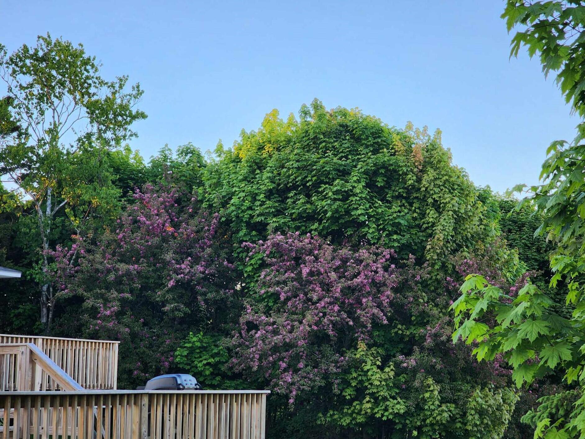 46 South Lubec Road Lubec, ME 04652 - Photo 14 of 46 Messenger_creation_a6c6f720-b488-42a0-aa