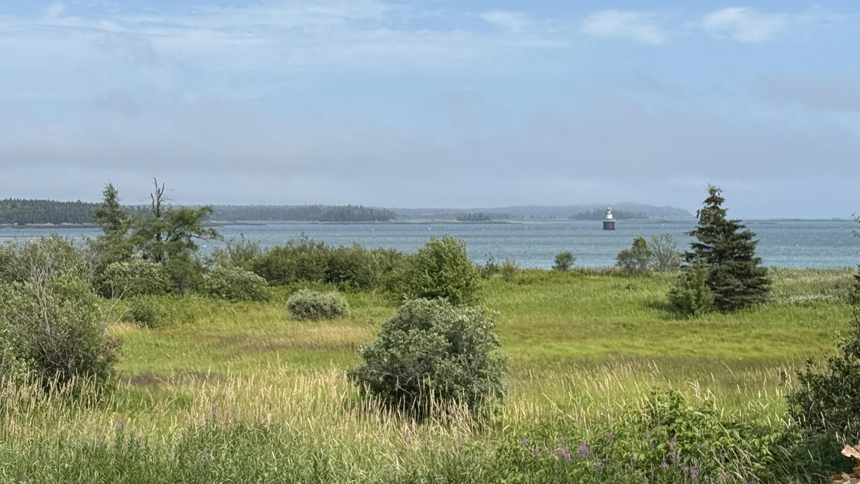 46 South Lubec Road Lubec, ME 04652 - Photo 2 of 46 IMG_2989