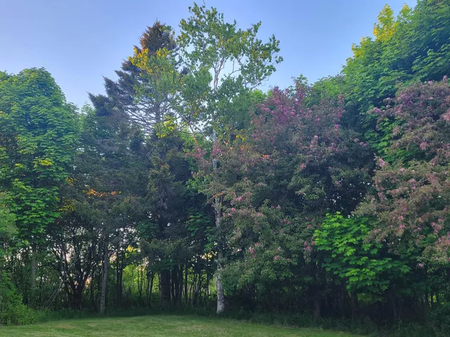 $269,000 | 46 South Lubec Road, Lubec, ME 04652