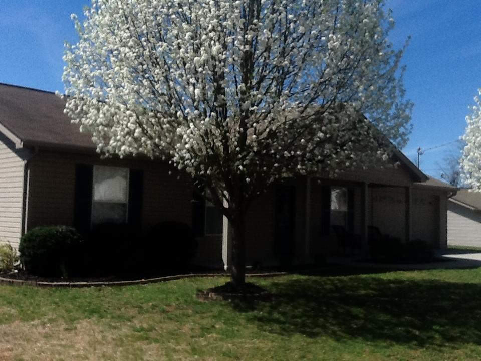 6509 Hugh Willis Road Powell, TN 37849 - Photo 2 of 32 image