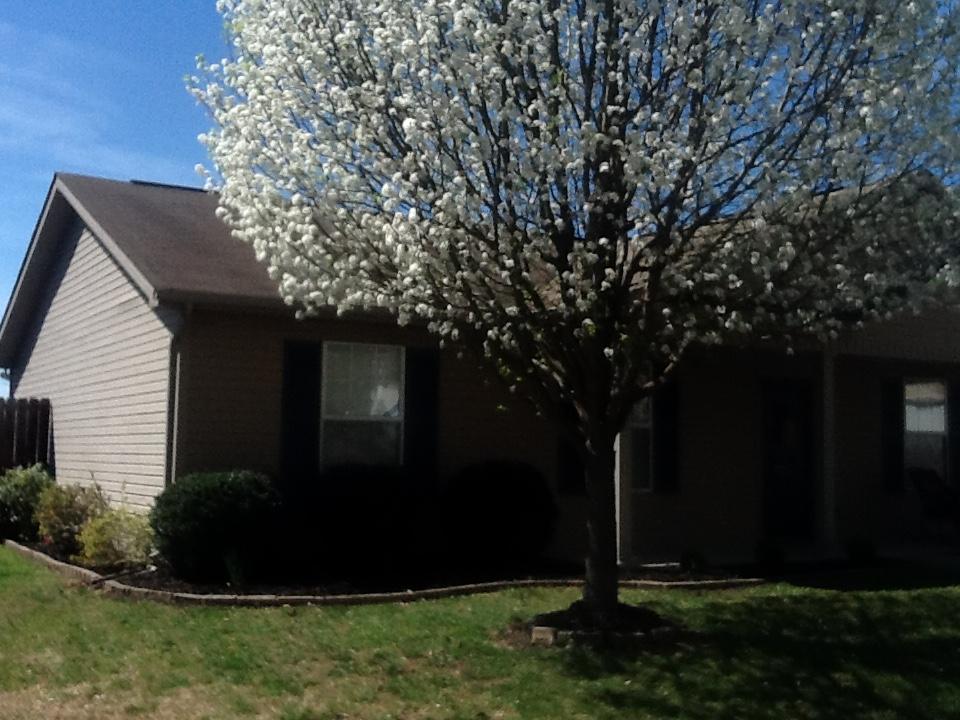 6509 Hugh Willis Road Powell, TN 37849 - Photo 3 of 32 image