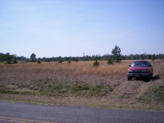 7-8 Weeks Road Williston, SC 29853 - Photo 1 of 1