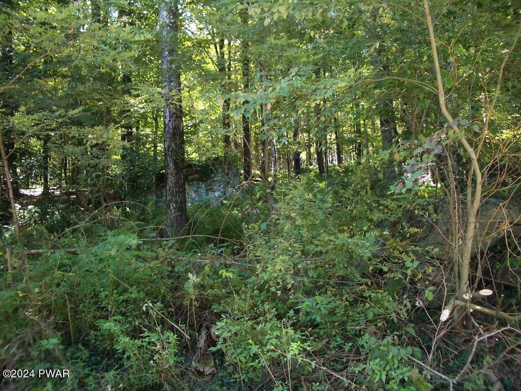 Lot 3 Gilpin Road Newfoundland, PA 18445 - Photo 1 of 5
