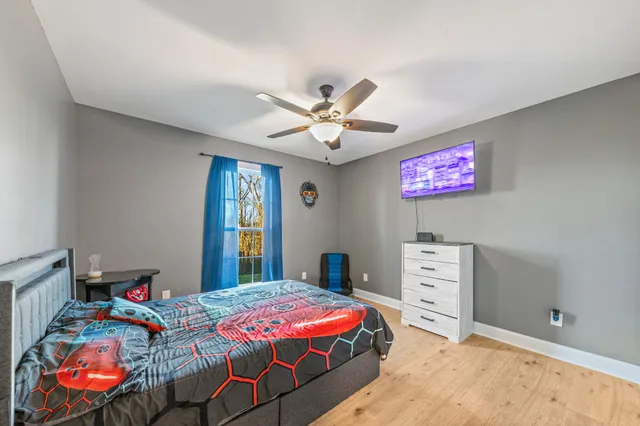 a view of a backyard with plants