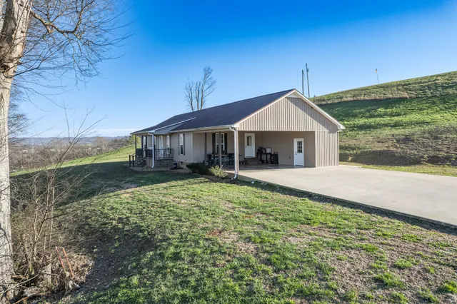 a view of a backyard with large trees