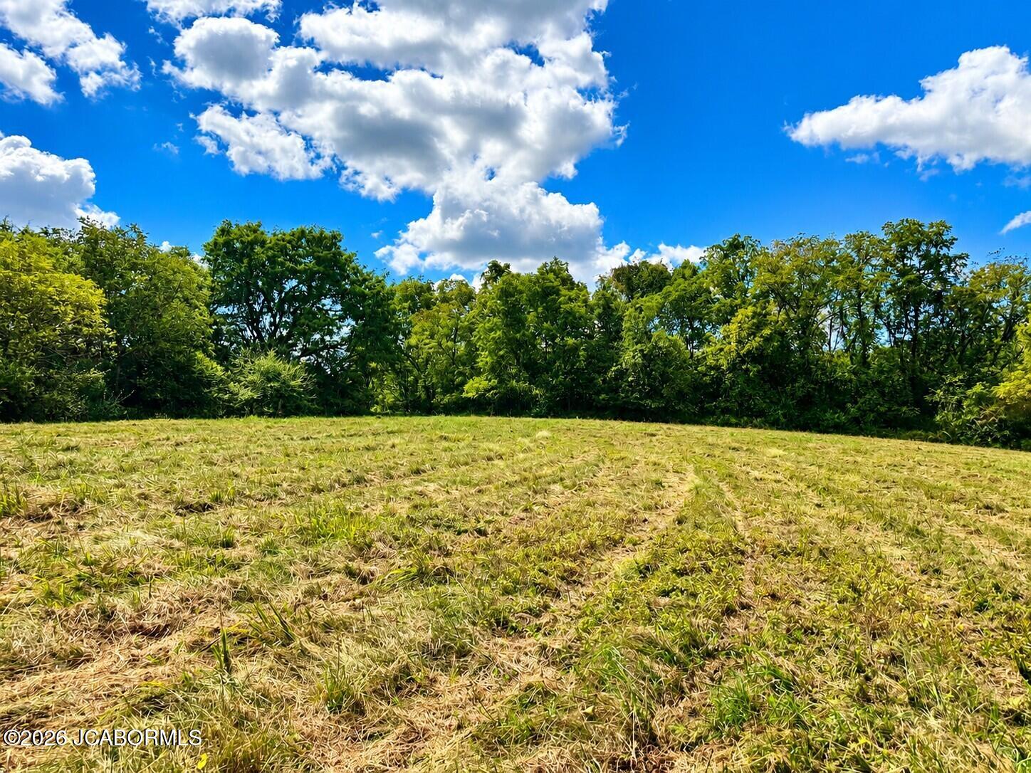 4 5.27 Ac County Road Holts Summit, MO 65043 - Photo 5 of 6 Gallery Image 5
