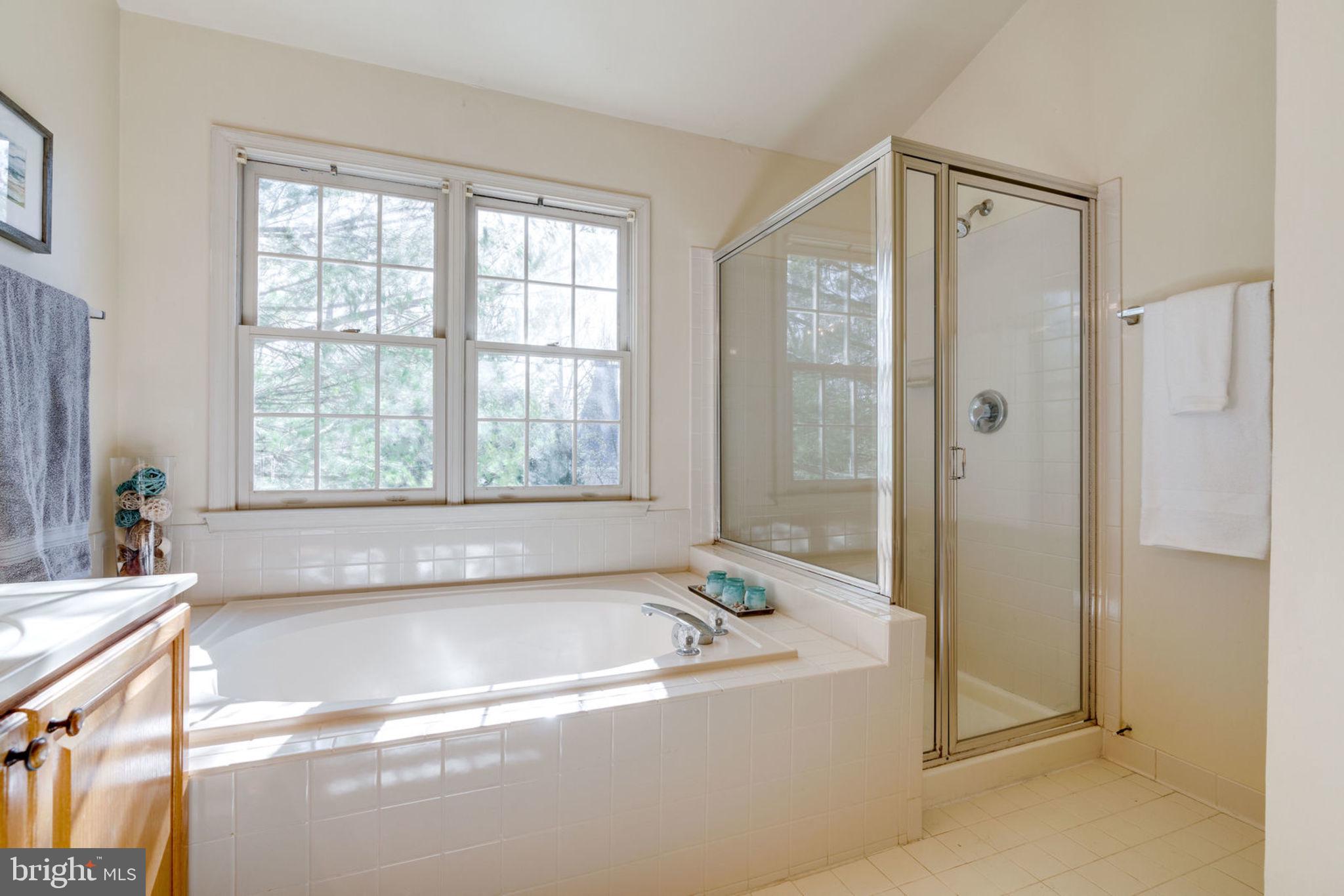 8111 Ridge Creek Way Springfield, VA 22153 - Photo 27 of 43 Master Bath Soaking Tub and Separate Shower