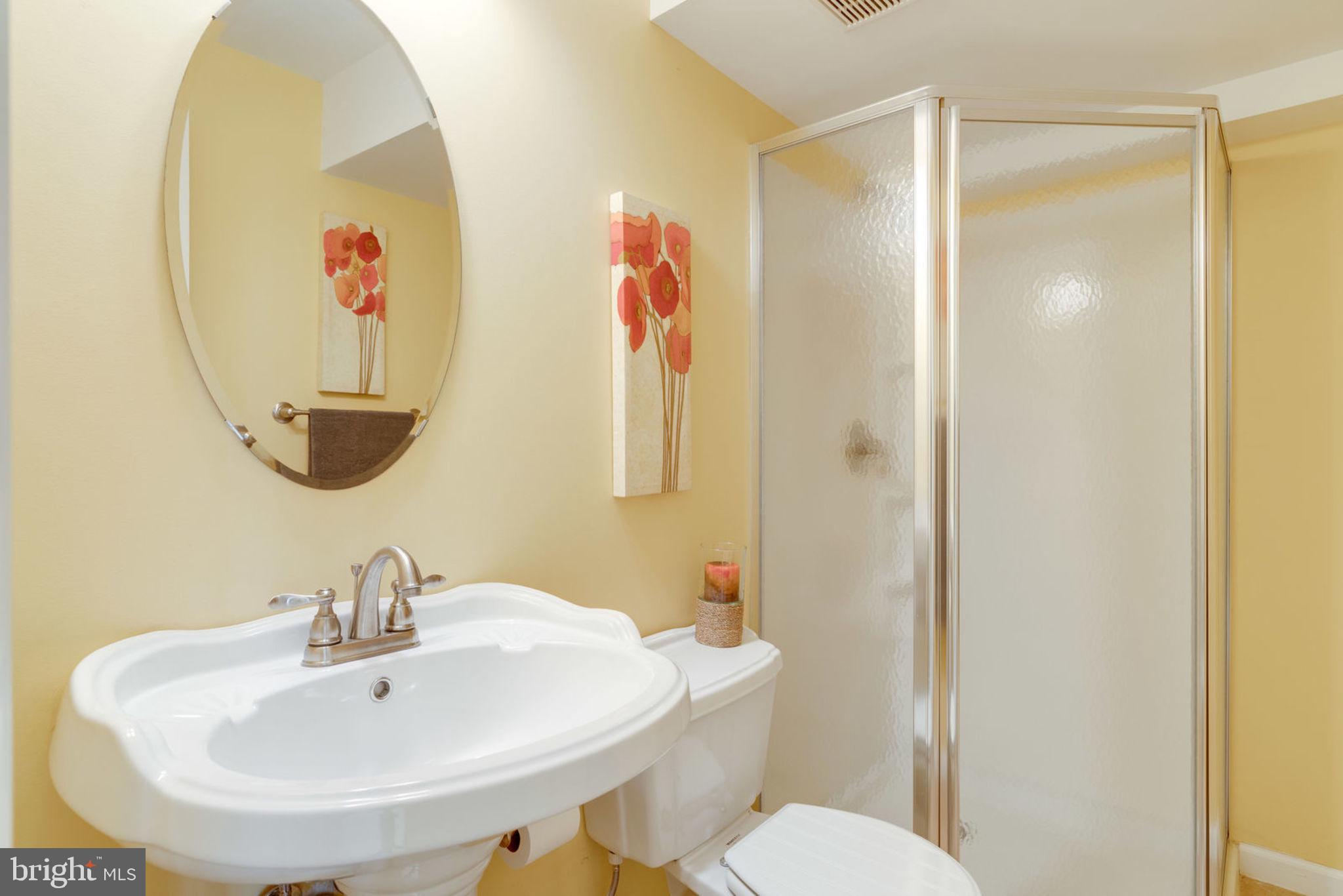 8111 Ridge Creek Way Springfield, VA 22153 - Photo 32 of 43 Lower Level Full Bath