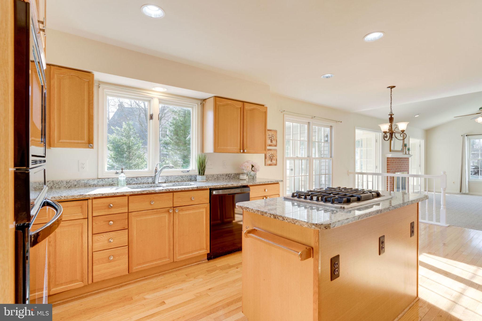 8111 Ridge Creek Way Springfield, VA 22153 - Photo 9 of 43 Gourmet Kitchen w/Lots of Counter Space