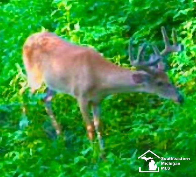 14340 Dixon Road Dundee, MI 48131 - Photo 51 of 53 50173252-95773bec-adab-4d0e-a58d-391c19eba954.JPG