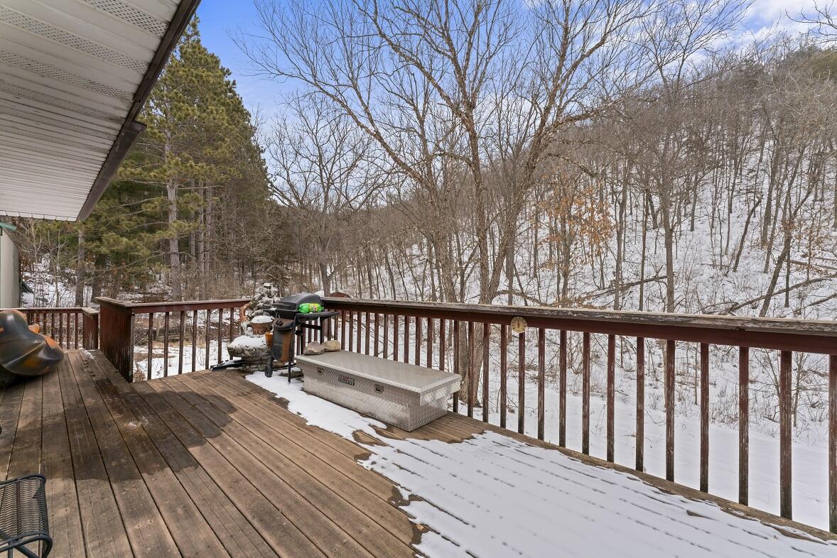 28890 County 25 South Peterson, MN 55962 - Photo 36 of 91 photos_high_resolution_DSC09661