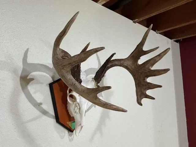 $599,000 | 28890 County 25 South, Peterson, MN 55962