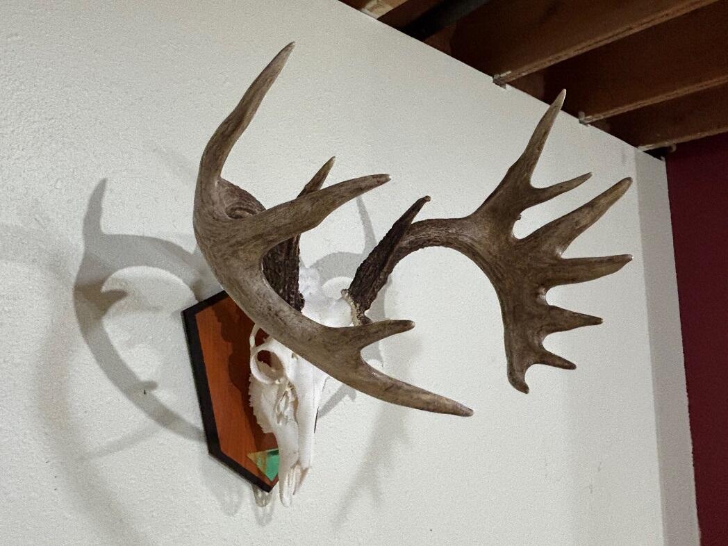 28890 County 25 South Peterson, MN 55962 - Photo 38 of 91 b1