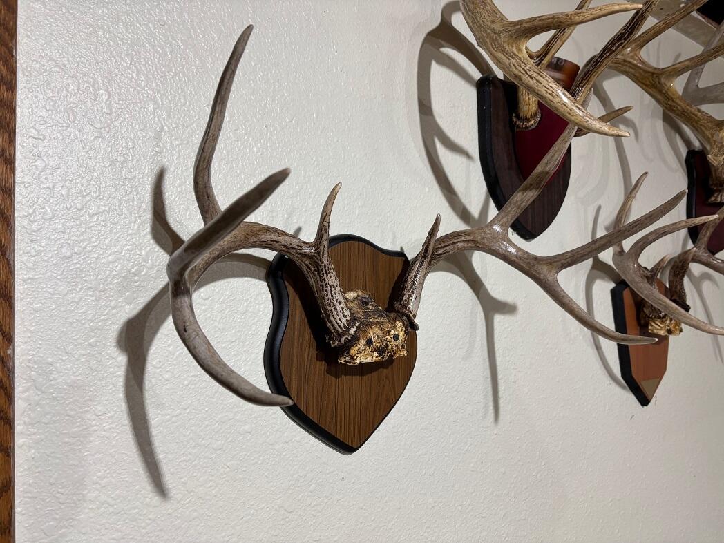 28890 County 25 South Peterson, MN 55962 - Photo 40 of 91 b2