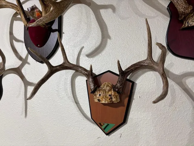 $599,000 | 28890 County 25 South, Peterson, MN 55962