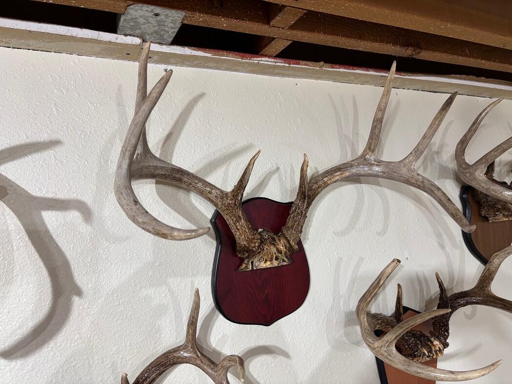 28890 County 25 South Peterson, MN 55962 - Photo 46 of 91 b4