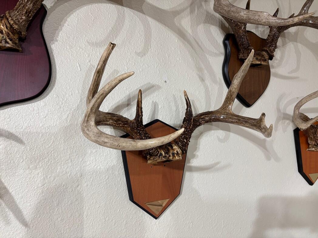 28890 County 25 South Peterson, MN 55962 - Photo 49 of 91 b5