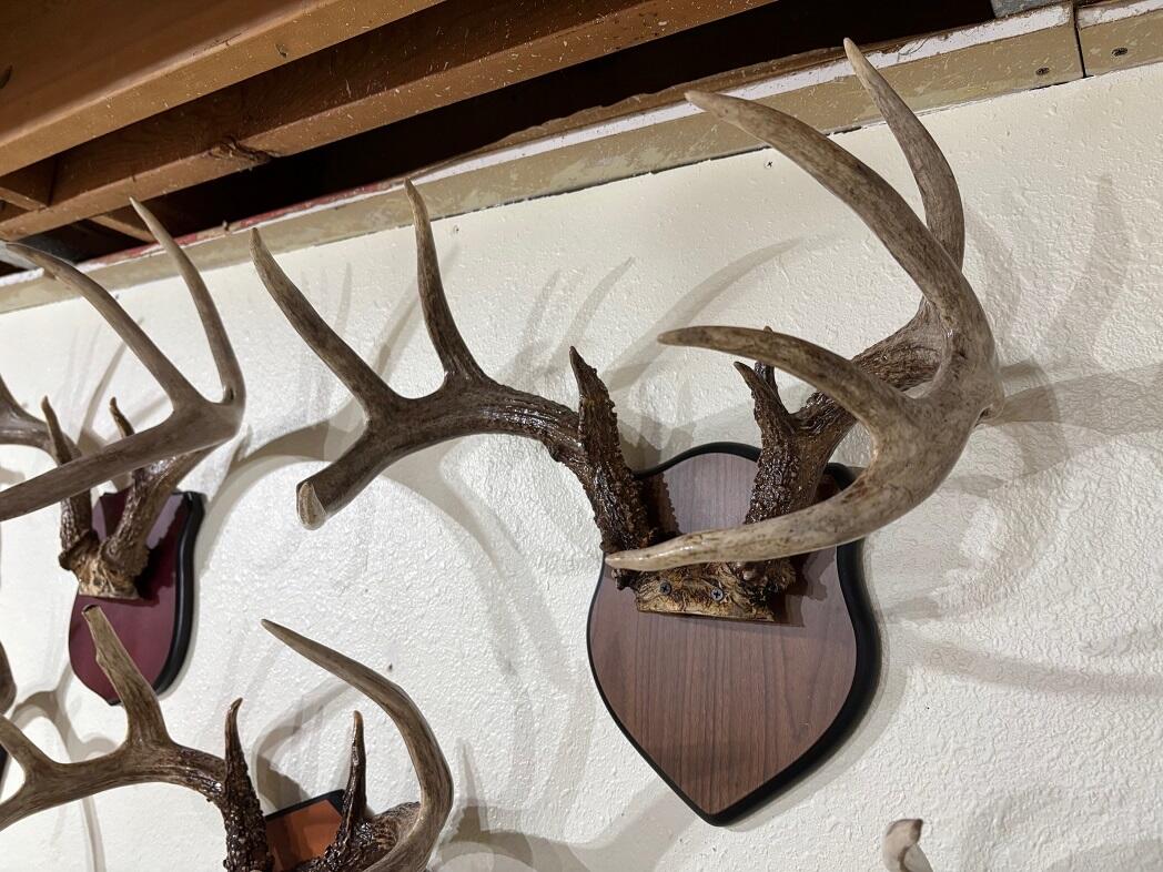 28890 County 25 South Peterson, MN 55962 - Photo 51 of 91 b6