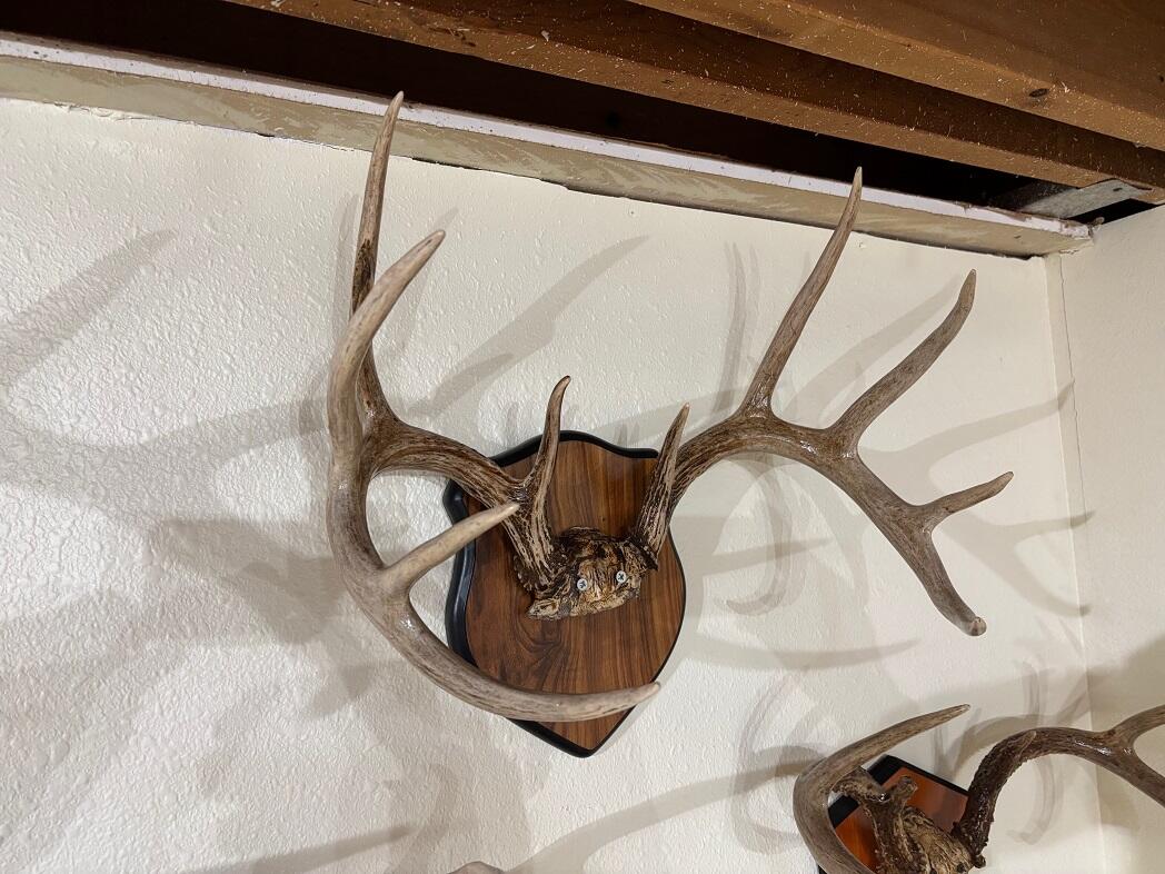 28890 County 25 South Peterson, MN 55962 - Photo 53 of 91 b7