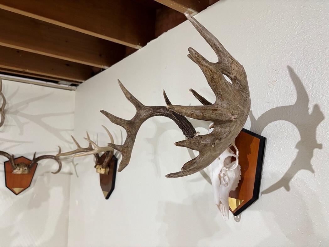 28890 County 25 South Peterson, MN 55962 - Photo 55 of 91 b9